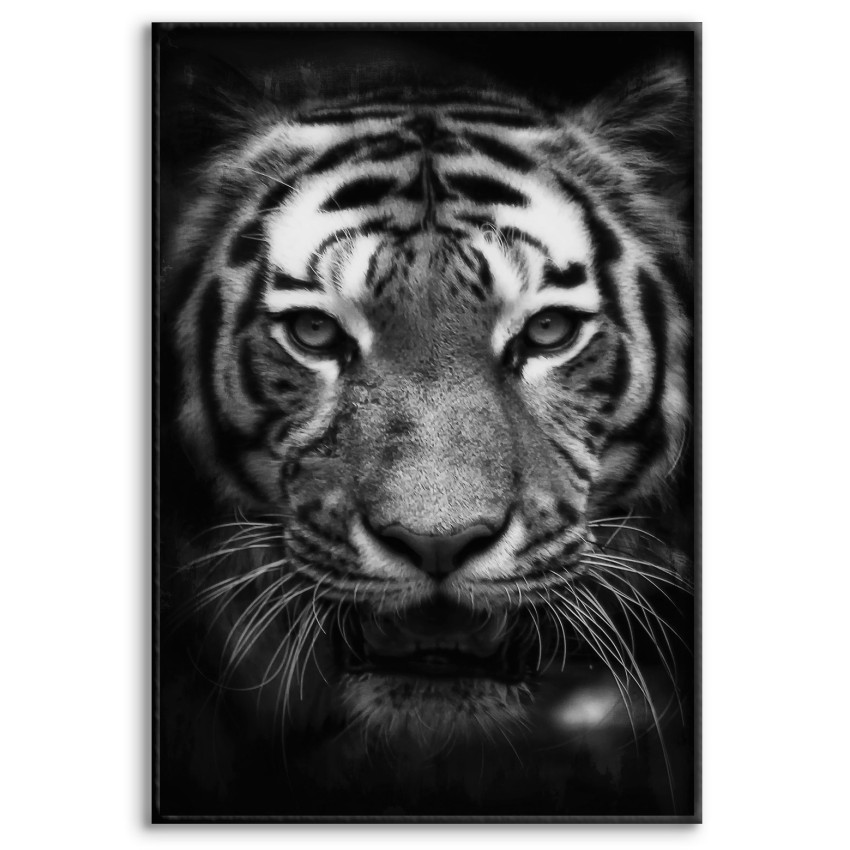 Tiger - Simple Poster