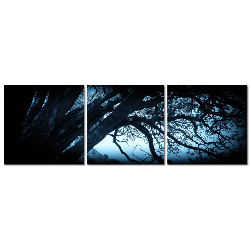 Tree in the Blue - Poster in Three Pieces