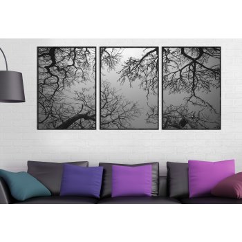 Trees Black and White - Poster in Three Pieces
