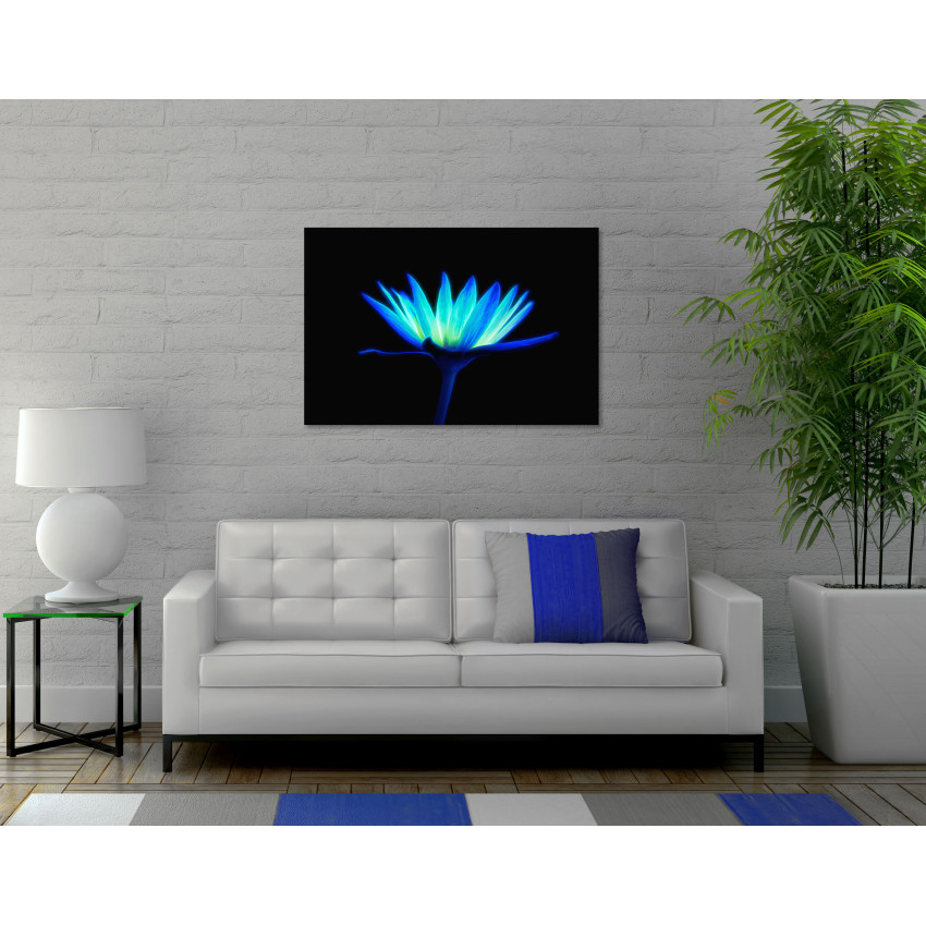 Turquoise Daisy in the Dark - Big Poster