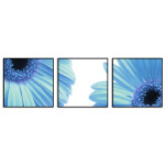 Turquoise Poster with Flowers - Three Pieces