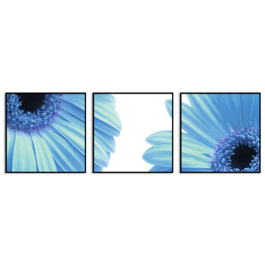 Turquoise Poster with Flowers - Three Pieces