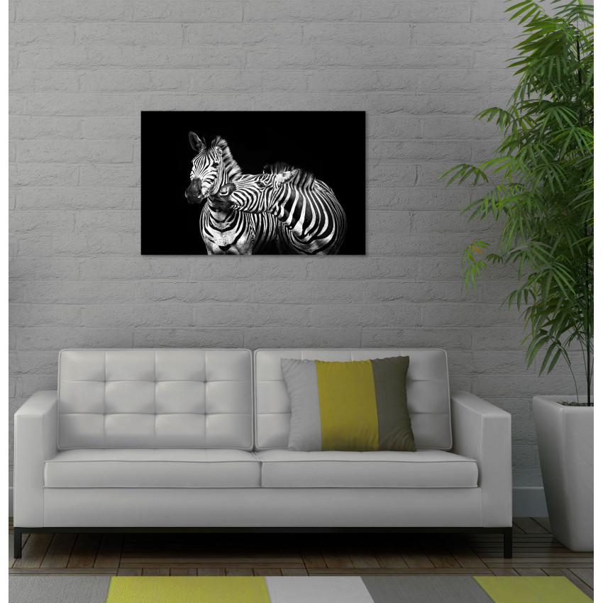 Zebra svartvit poster 50x70cm | Fri frakt!