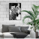 Zebra - Poster