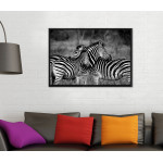 Zebras on the African Savanna - Black and White Poster
