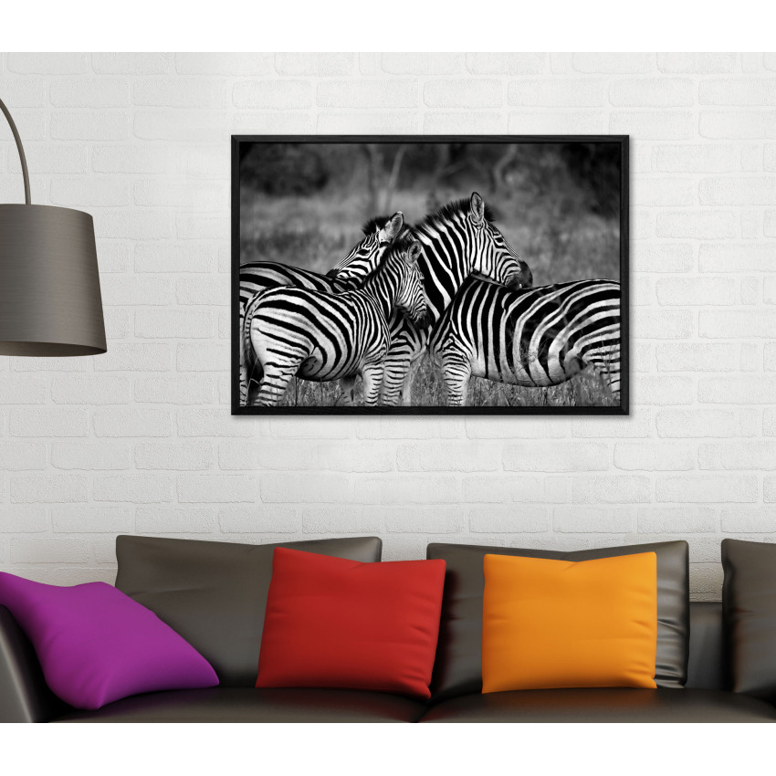Zebras on the African Savanna - Black and White Poster